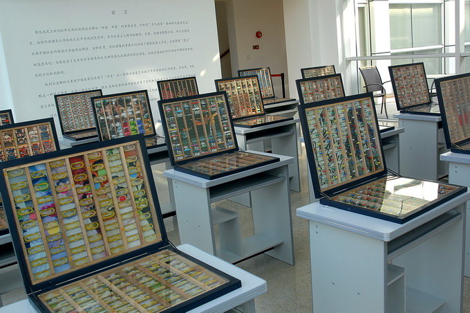 展览现场12