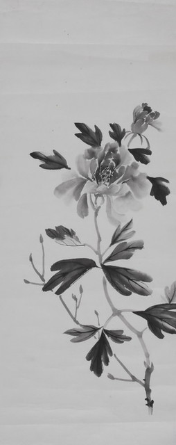 花卉画稿-646
