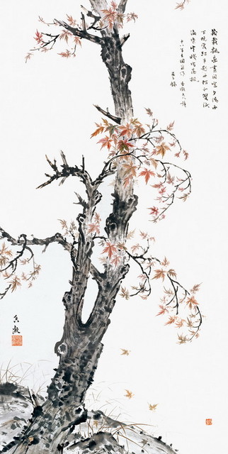枫