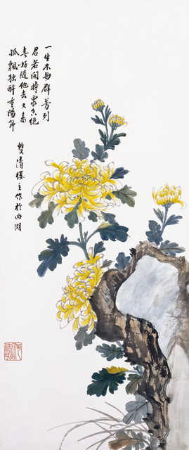 菊1