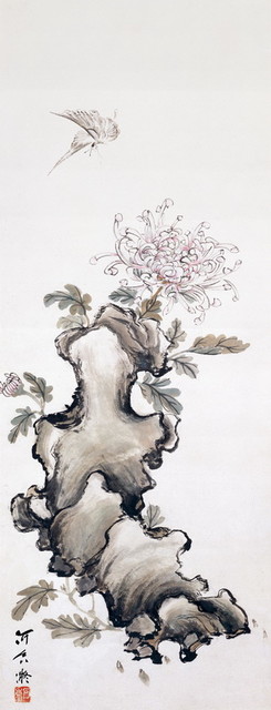 菊花蝴蝶