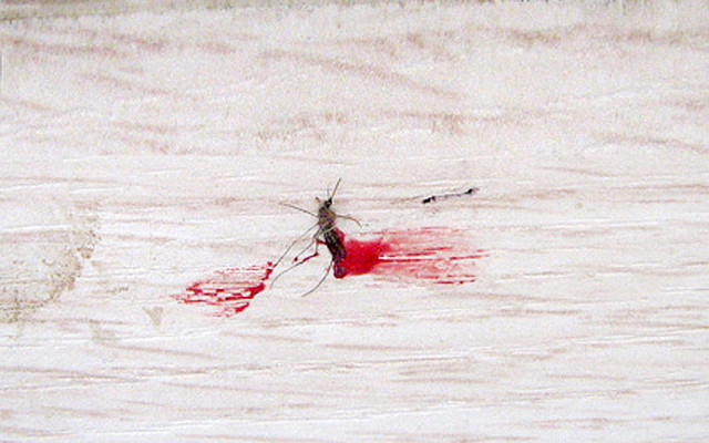 BlookOnWall