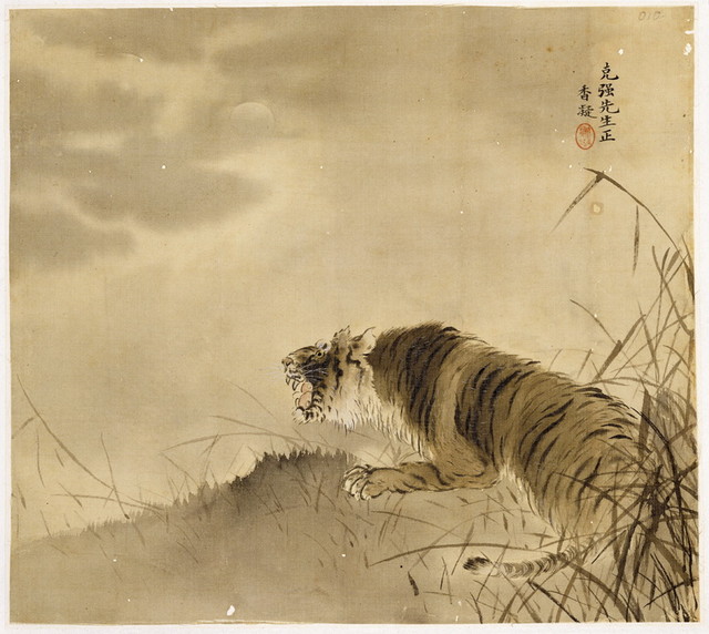 虎