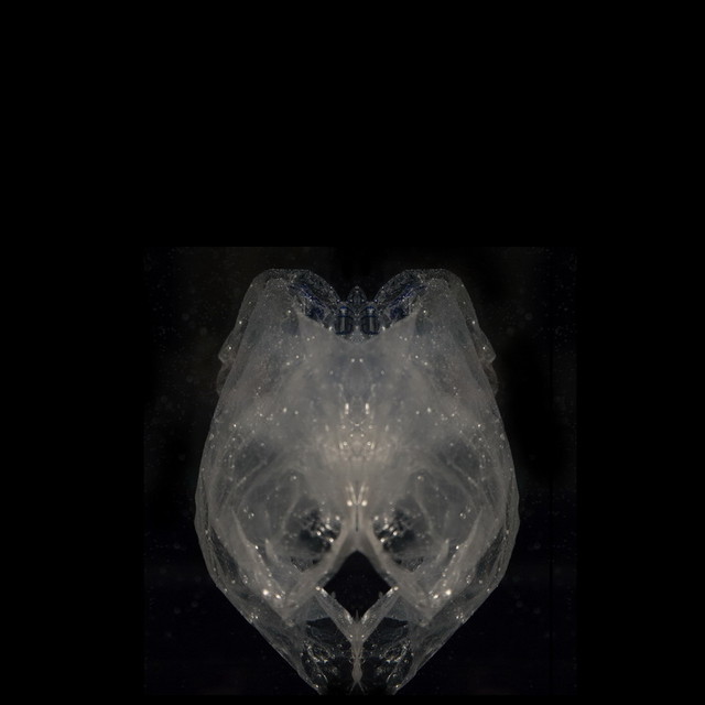 合成物种No.1  Synthetic Species No.1