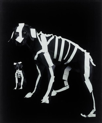 威廉·魏格曼（William Wegman）美国人，1943年   无题，宝丽来照片，22×30英寸，2005年