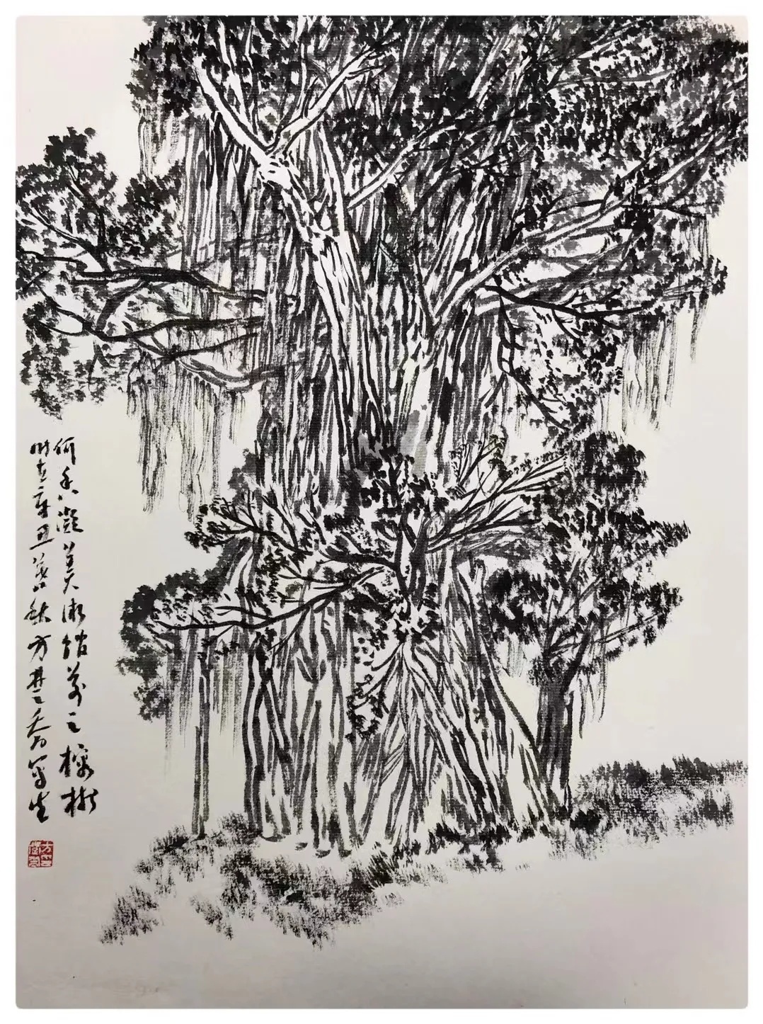 微信图片_20211108112217 微信图片_20211108112217