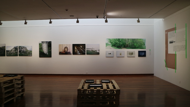 Hua JIN
