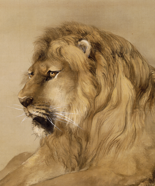 HXN_Ink & Intent_KV_Lion